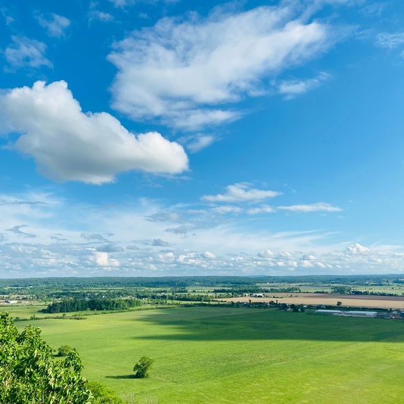 Meet your Posher, Brady - Picture 1 of 1